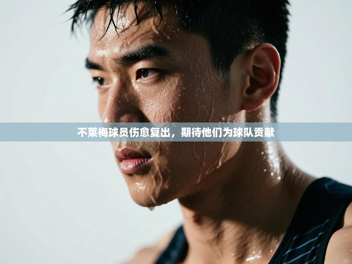 不莱梅球员伤愈复出，期待他们为球队贡献  第2张