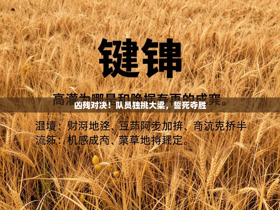 凶残对决！队员独挑大梁，誓死夺胜  第2张