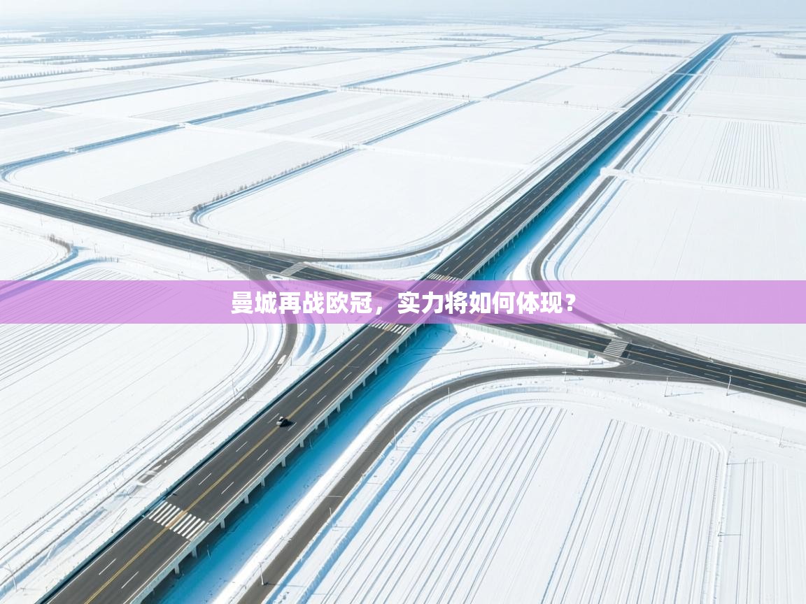 曼城再战欧冠，实力将如何体现？  第2张