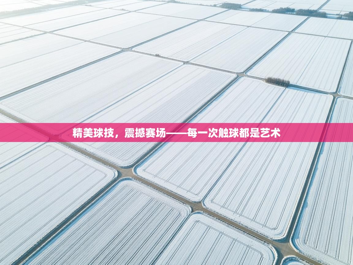 精美球技,震撼赛场——每一次触球都是艺术 第2张