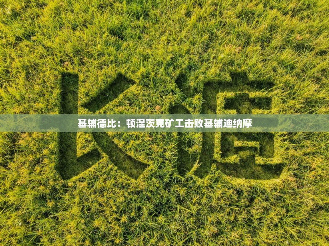 基辅德比：顿涅茨克矿工击败基辅迪纳摩
